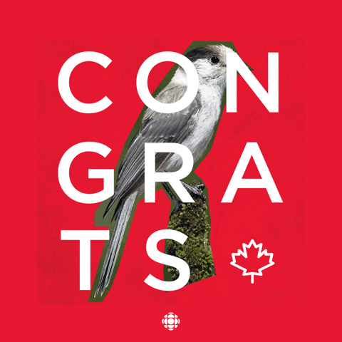 national bird canada GIF by CBC