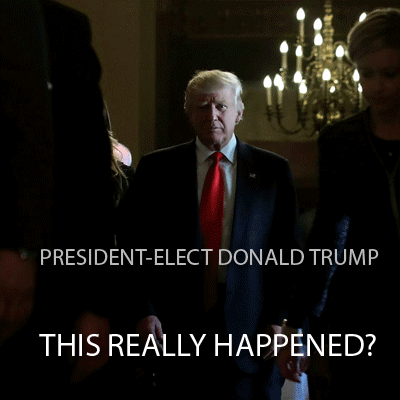 ramboozle trump election2016 dumptrump GIF
