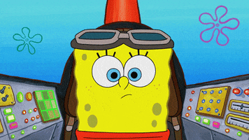 flying spongebob squarepants GIF by Nickelodeon