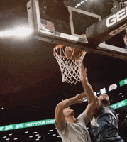 Brook Lopez Basketball GIF by NBA