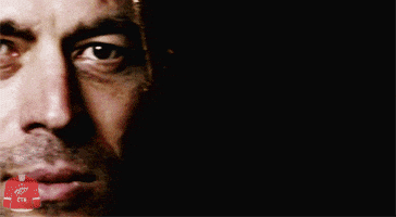 Vis  GIF