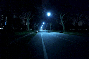 anatoleya night london path hyde park GIF