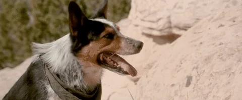 Look Away See No Evil GIF by FocusWorld