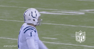 Indianapolis Colts Dancing GIF by NFL