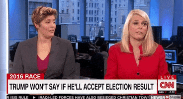 Sally Kohn GIF