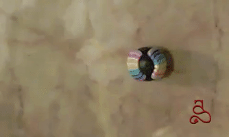 annstafford polymer clay spraycanann @spraycanann #polymerclay GIF