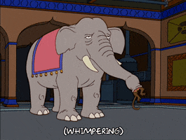 Episode 17 Elephant GIF by The Simpsons