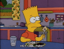 the simpsons wow GIF