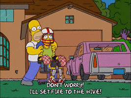 200.gif?cid=fc005b08ee2bd83f6b0578ff8093ea589c8eb9d4b1a86efe&rid=200.gif&ct=g