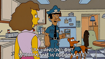 200.gif?cid=fc005b08a4bdf04b26b9c6b9c45579381cacdc8170e55132&rid=200.gif&ct=g