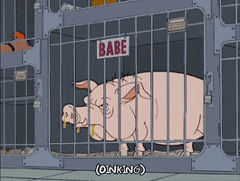 episode 14 pig GIF