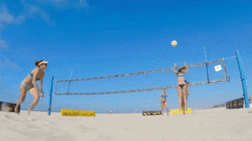 april ross volleyball GIF