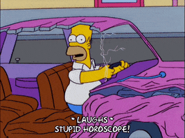 homer simpson GIF