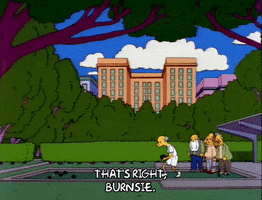 Season 3 Park GIF by The Simpsons