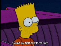What An Odd Thing To Say GIFs - Find & Share on GIPHY