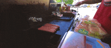 Hot Dogs Peace GIF