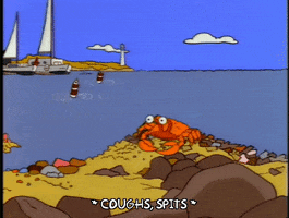 Season 4 Beach GIF by The Simpsons