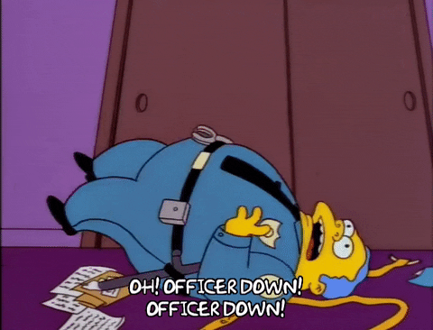https://media2.giphy.com/media/3orif0Plc6ApGh4go0/giphy.gif