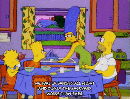 200.gif?cid=fc005b08d0f30a9bcf5d3b8ffaa4025813b5cd89598d2740&rid=200.gif&ct=g