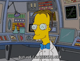 200.gif?cid=fc005b08a3a5dc864feb1aea3e4b516833dc85ab94661d16&rid=200.gif&ct=g