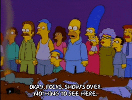 homer simpson GIF