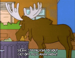 Season 4 Moose GIF by The Simpsons