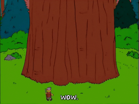 Big Tree Sequoia GIF - Find & Share on GIPHY
