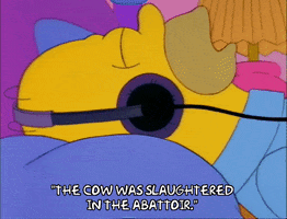 Season 3 Sleeping GIF by The Simpsons
