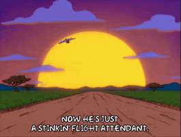 episode 17 sunset GIF