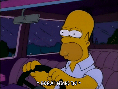 Driving Season 3 GIF by The Simpsons - Find & Share on GIPHY