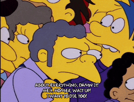 200.gif?cid=fc005b08dcf2036cde64bc0bcc82db81544b7a8f4c0e33d7&rid=200.gif&ct=g