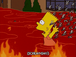 200.gif?cid=fc005b08b17dd85f38db67f8c2727a20b7dfc36676e46289&rid=200.gif&ct=g