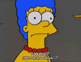200.gif?cid=fc005b086a154b9bcfcec4944d599c75076002330b4d3971&rid=200.gif&ct=g