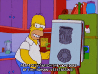 Homer Simpson Chiropractic GIFs