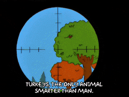 200.gif?cid=fc005b08c21f05174710ac6d7da90ee700d1fa1636af1c4b&rid=200.gif&ct=g