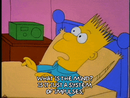 why are we here bart simpson GIF