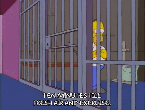homer simpson eddie GIF