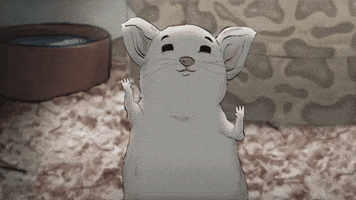 animalshbo tv animals dancing hbo
