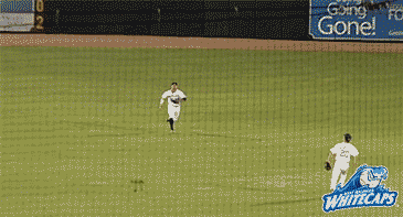 excited grand rapids GIF by West Michigan Whitecaps 