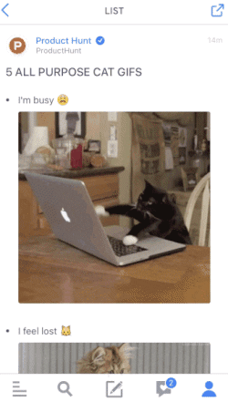giphy.gif