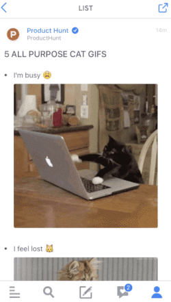 cat GIF by Product Hunt