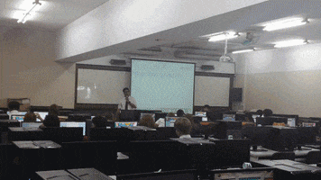 noom  GIF