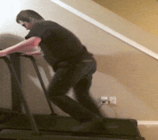 Falling Down Lol GIF by America's Funniest Home Videos - Find & Share on  GIPHY
