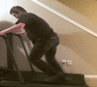 Free-funny GIFs - Get the best GIF on GIPHY Free-funny GIFs - Get the best GIF on GIPHY
