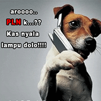 papua dp animasi papua kreatif GIF