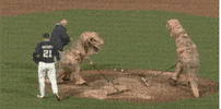 huffpostsports  GIF