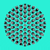 200.gif?cid=fc005b0853fdecdd6da632f1fd510f9a162f3c46abca1930&rid=200.gif&ct=g