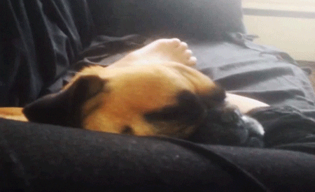 Wake Up Lol GIF by America's Funniest Home Videos - Find & Share on GIPHY