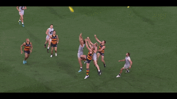 afl cey GIF by Adelaide Crows