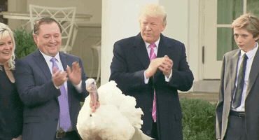 Donald Trump GIF